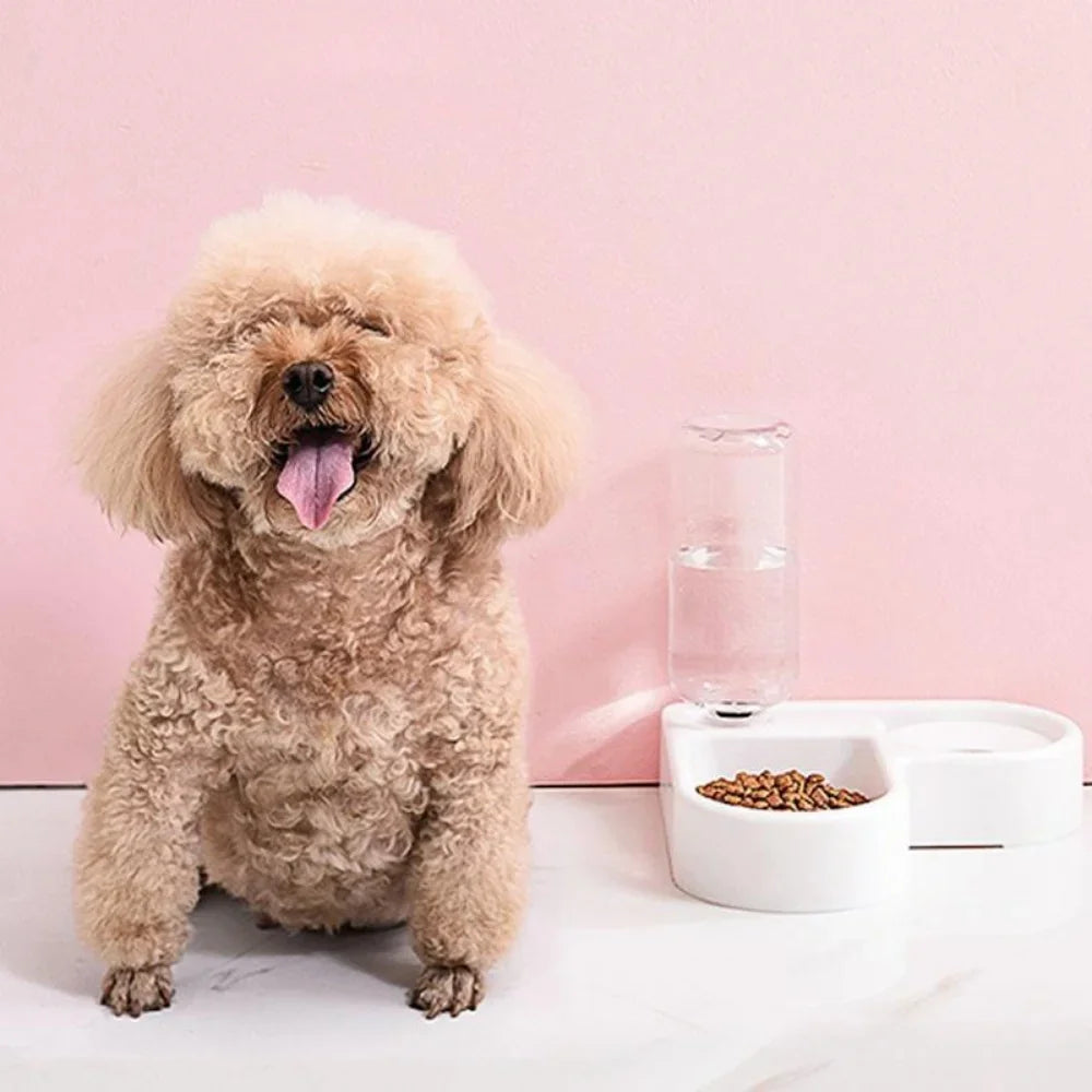 500ml Portable Automatic Pet Feeder Bowl