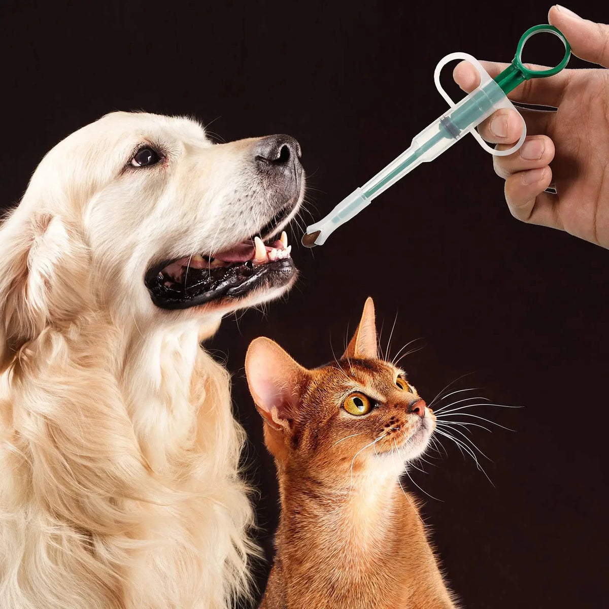 Easy-Press Pet Pill Dispenser